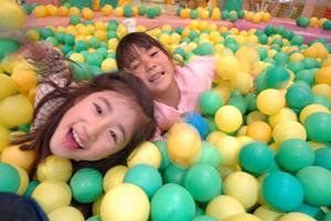 いろいろなプランがある東京のホテル