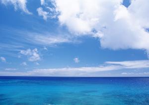 源泉掛け流しの貸切露天風呂がある宿です