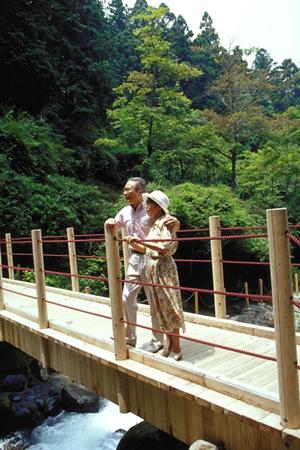 愛知県安城市のビジネスホテル【東横INN三河安城駅新幹線南口1】の詳細ガイド