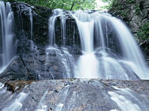 千葉県印西市の快適なビジネスホテル ? 東横INN印旛日本医大駅前の魅力と特徴