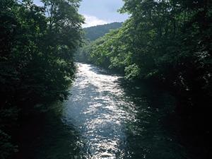 静岡市のランドマークホテルのレストラン:クロスロードの魅力と詳細情報