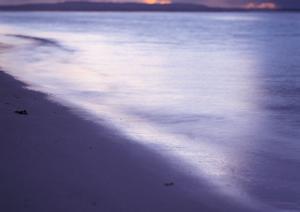 静岡駅から徒歩わずか5分!快適さとサービス充実のガーデンホテル静岡の魅力