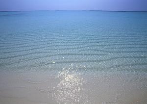 伝統工芸を手軽に楽しむ!金箔貼り体験の魅力と家族で楽しむ方法